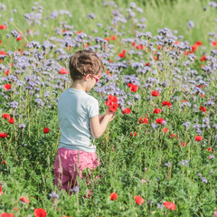 Petite fille cueillant des fleurs dans un champ