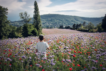enfant dans un champ de fleurs sauvages