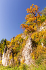 Ojcow National Park in autumn colors /  landscape, Poland