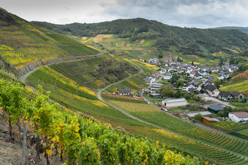 Naklejka premium Hiking on the red wine trail in the Ahr valley in the rain