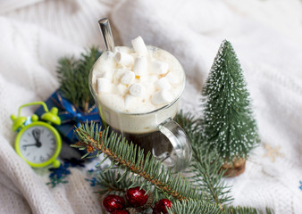 Fototapeta na wymiar Hot coffee with cream and marshmallow cold winter at Christmas. The new year 2020.