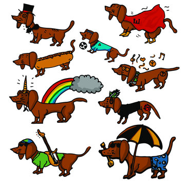 Perros Salchichas