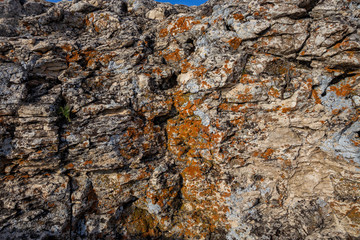 rocks rocks covered with moss.