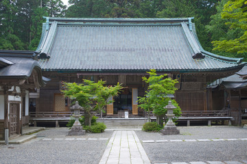 京都_比叡山_青もみじ