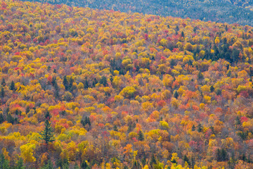 Colorful Autumn of White Mountains in New England