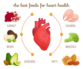The best food for heart health. Vector infographics on the theme of proper nutrition and healthy lifestyle. Diet for proper heart function. Cartoon style illustration. Banner Landing.
