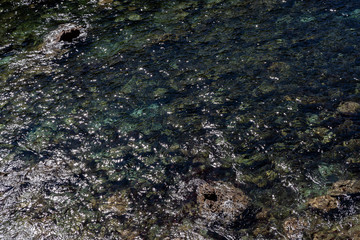 Fundo do mar visto através da água do mar. Pode ser usado como plano de fundo.