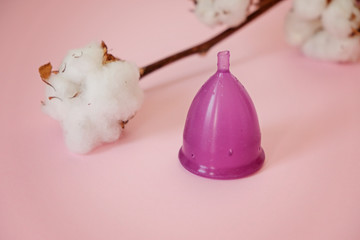 Menstrual cup and cotton on pink background, concept of women's health and ecology of the planet