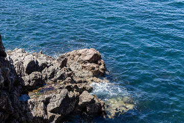 Fototapeta na wymiar Poça de água cristalina com algas vermelhas e verdes num rochedo banhado por um mar de água azul.