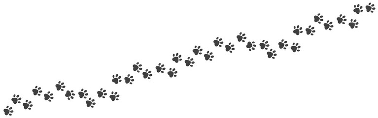 Fototapeta Paw foot trail. Cat and dog walk track silhouette, wild animal and pet paw print texture. Vector image puppy and kitten paw path black template on white backgrounds obraz