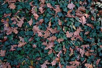 abstract colorful background