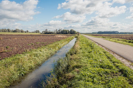Dutch polder landscape with a ditch