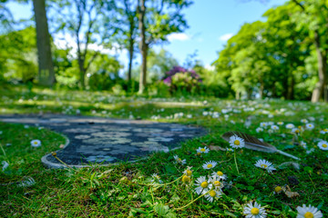 Obraz na płótnie Canvas Daisies and footpath with daisy shapes at Leases Park in Necastle, UK