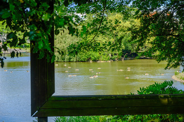 View through large hollow picture frame of trees and birds in pond