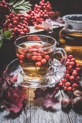 Hot tea in glass cup with rowan and atmospheric autumn decorations. Selective focus. Shallow depth of field.
