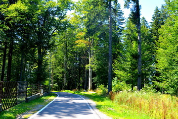 Road to the winter and spa station Poiana Brasov, in Carpathian Mountains