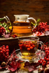 Hot tea in glass cup with rowan and atmospheric autumn decorations. Selective focus. Shallow depth of field.