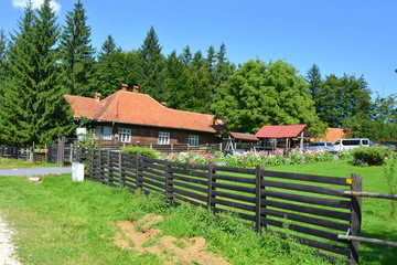 Road to the winter and spa station Poiana Brasov, in Carpathian Mountains