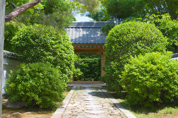 Obraz premium 京都_源光庵_青もみじ