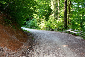 Fototapeta premium Road to the winter and spa station Poiana Brasov, in Carpathian Mountains