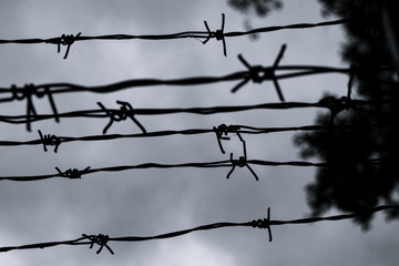 Barbed wire against the gray sky. Barbed wire and gray sky on a dark cloudy day. Silhouette of barbed wire with cloudy sky in the background