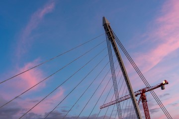 Fototapeta premium Samuel Beckett Bridge in Dublin
