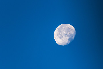 Naklejka na ściany i meble The moon against the blue summer sky.