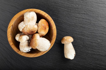 raw porcini mushrooms in a plate