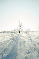 Shadows on the snow