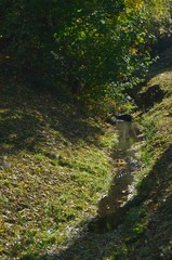 Dorfbach im Herbst