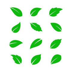 Green Nature Symbols Leaves Icons Set Vectors Leaf Icon Logo