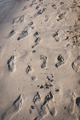 Footprints on a beach in the South of Italy. Portrait format.