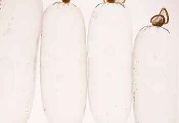 Closeup of condoms filled with water, on a white background.