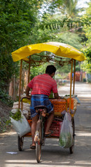 Back view of Mobile vendors selling fruit and vegetable's on the streets