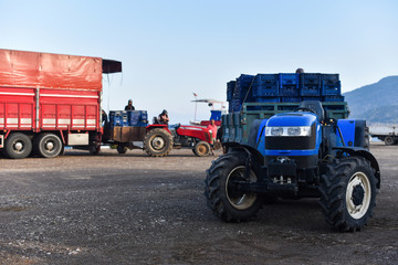 retailer on truck for transportation food is buying boxes with vegetables in farmers on tractors