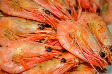 delicious boiled shrimp served on a dish