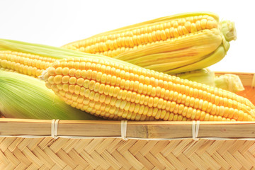 Fresh corn on white background
