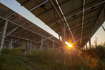 landscape of solar cell farm power plant.Solar panel on sunset background. Solar cell on overgrown grass background.