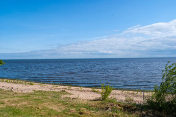 The coast of lake Pskov