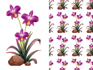 Seamless background design with purple orchid flowers