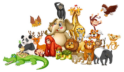 Many animals on white background