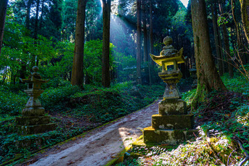 shrine in the forest, Aso, Kumamoto