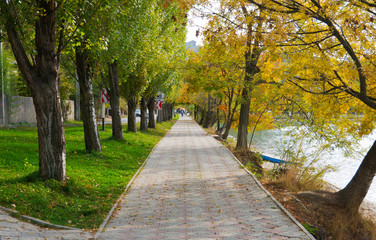 Fototapeta na wymiar autumn with trees on a runway of Lake