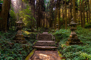 shrine in the forest, Aso, Kumamoto