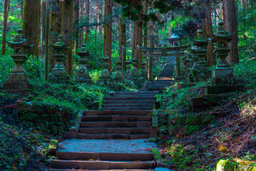 shrine in the forest, Aso, Kumamoto