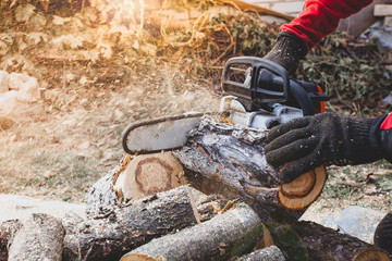 Professional chainsaw cuts firewoods