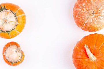 Pair of trendy ugly organic double mutation pumpkins and two normal pumpkins on white background....