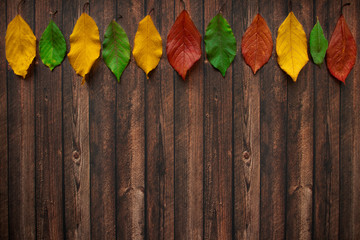 autumn leaves on wooden background