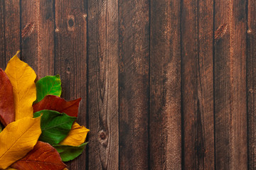 autumn leaves on wooden background