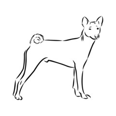 dog sketch, contour vector illustration 